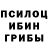 Галлюциногенные грибы Magic Shrooms Anton Pras