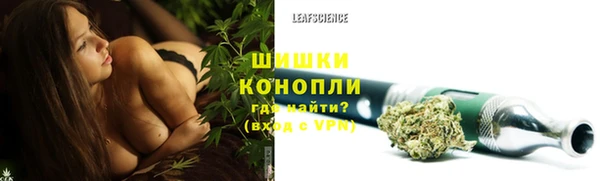 дживик Балахна