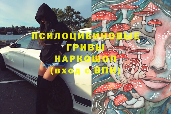 дживик Балахна