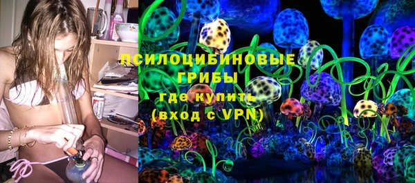 дживик Балахна